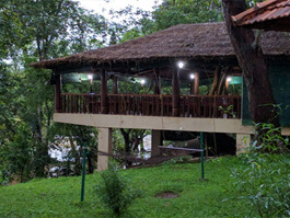 Dubare Elephant Camp Accommodation